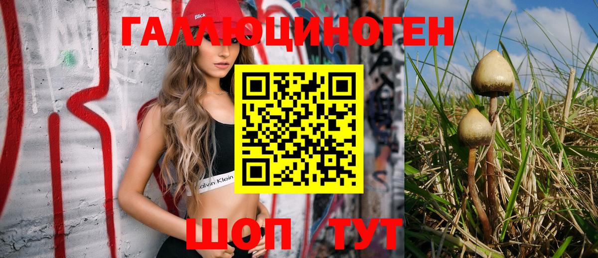 Галлюциногенные грибы MAGIC MUSHROOMS  дарнет шоп  Ленинск-Кузнецкий  Вход с VPN  Галлюциногенные грибы GOLDEN TEACHER 