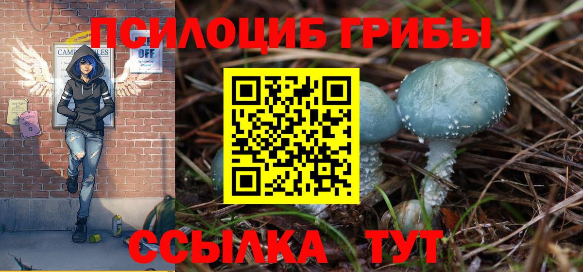 Галлюциногенные грибы мицелий Ленинск-Кузнецкий